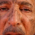magnific_closeup_Maraffi_1080